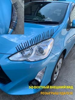 Реснички для твоей птички - изображение 2