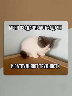 Коврик для мышки - изображение 2