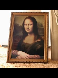 Кошачий лоток "Мона Лиза" - изображение 3