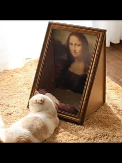 Кошачий лоток "Мона Лиза" - изображение 4