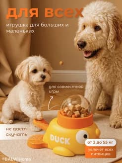 Кормушка для собак - изображение 2