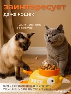 Кормушка для собак - изображение 3