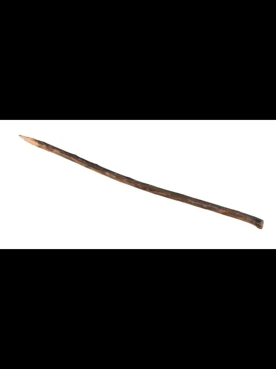 Палка для битья крапивы - изображение 1