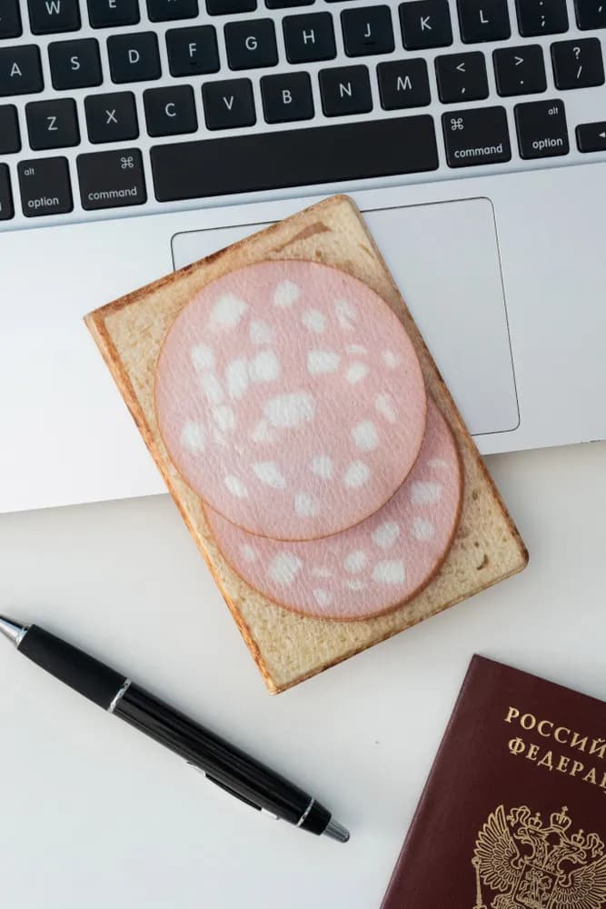 Обложка на паспорт