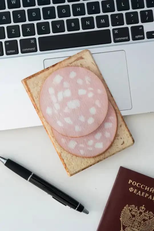 Обложка на паспорт