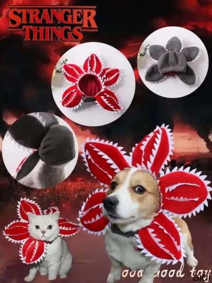 Ошейник Очень странные дела