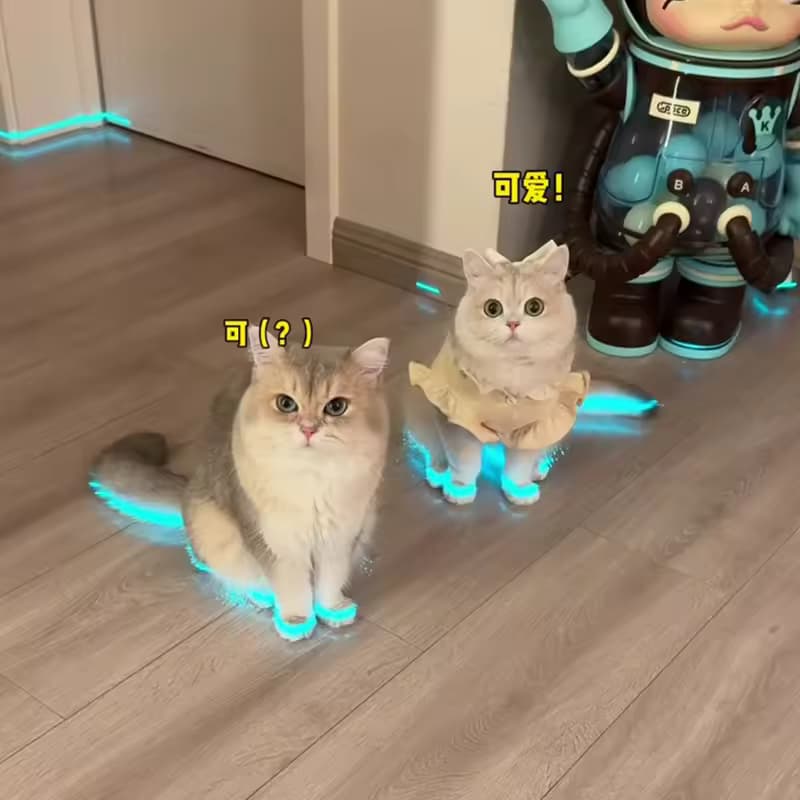 Светящиеся тапочки для котиков