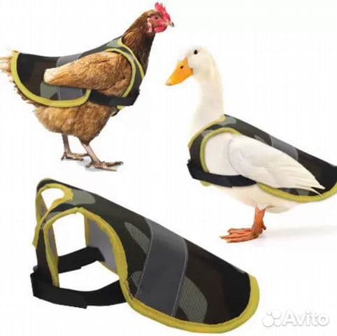 Жилет для курицы